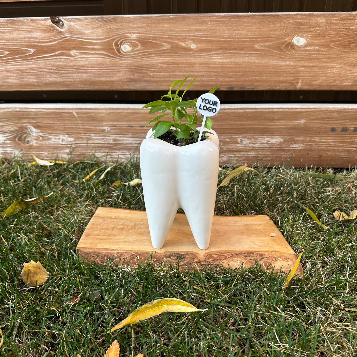 Custom Plant Stick Labels